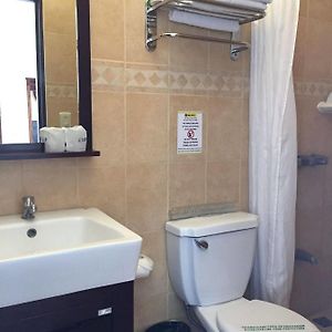 Habitación Superior con 2 Camas Individuales